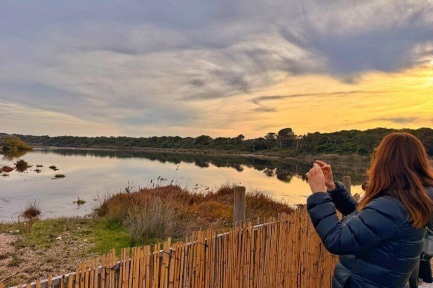 Albufera de Valencia Boat Trip and Mediterranean Forest 2