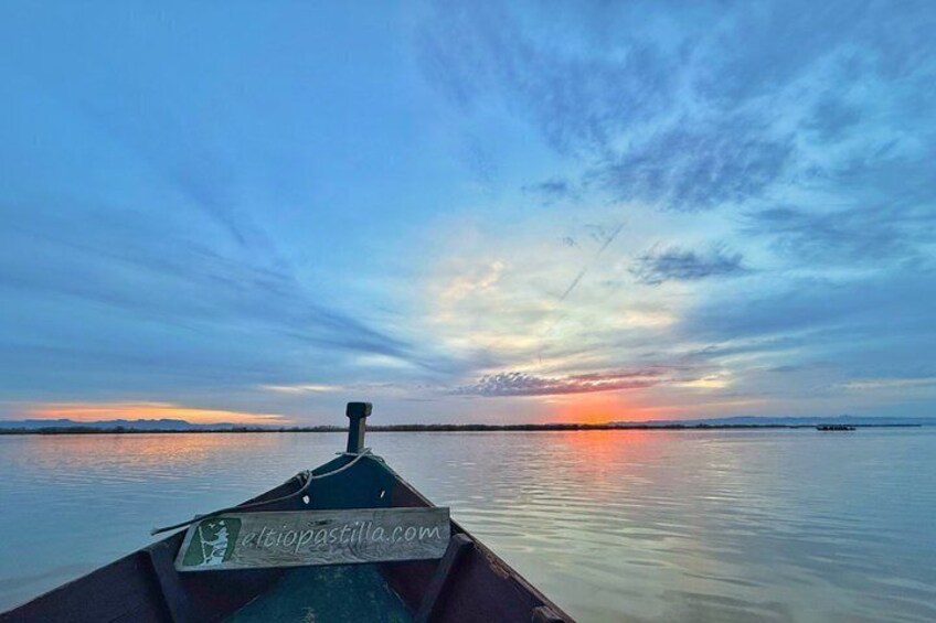 Albufera de Valencia Boat Trip and Mediterranean Forest 3