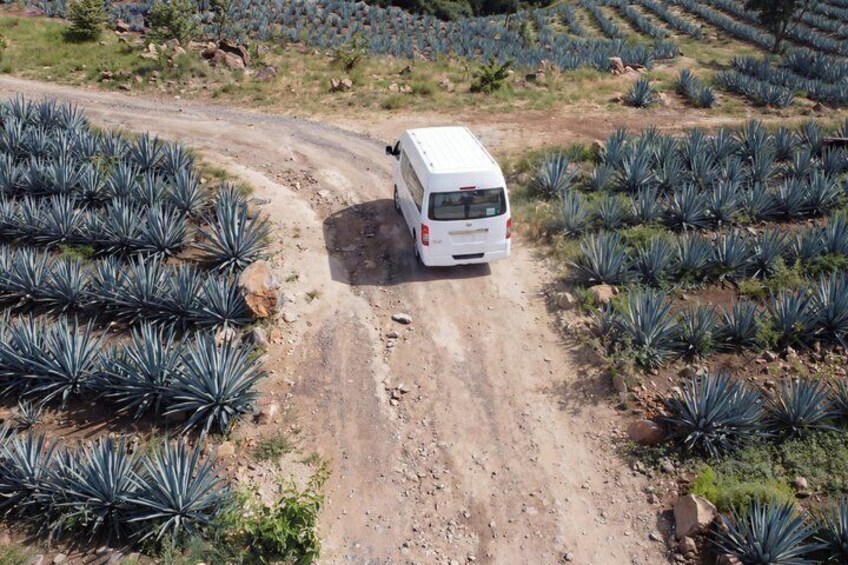 Private Tequila Tour Distilleries and Tastings in Jalisco 2