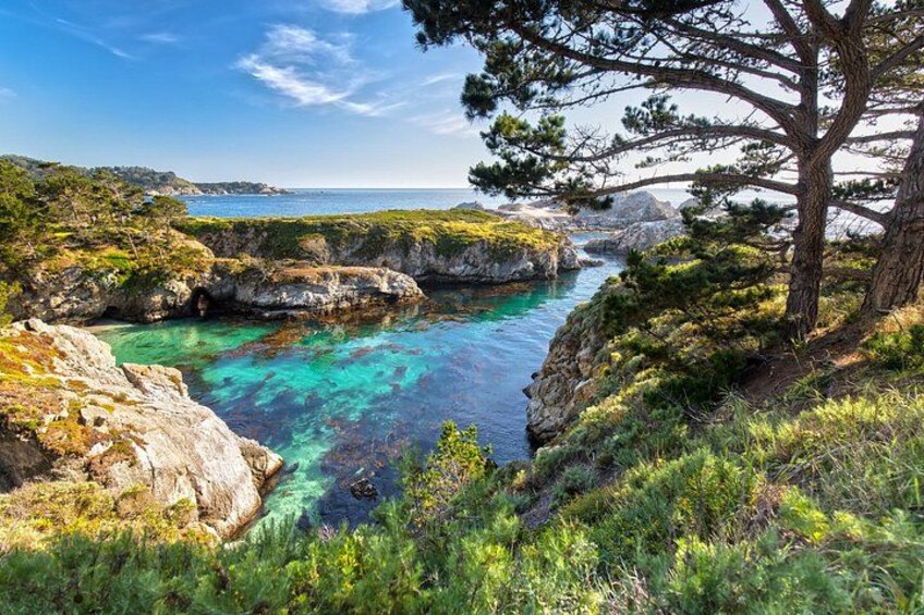 Pacific Coast Highway Big Sur Monterey to San Luis Obispo Tour 4