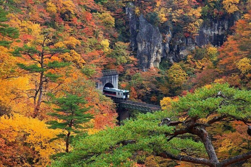 A train on a bridge surrounded by autumn foliage. 1