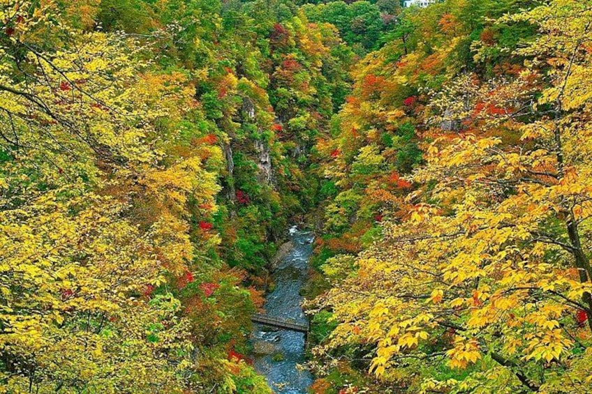 A river surrounded by autumn foliage. 5