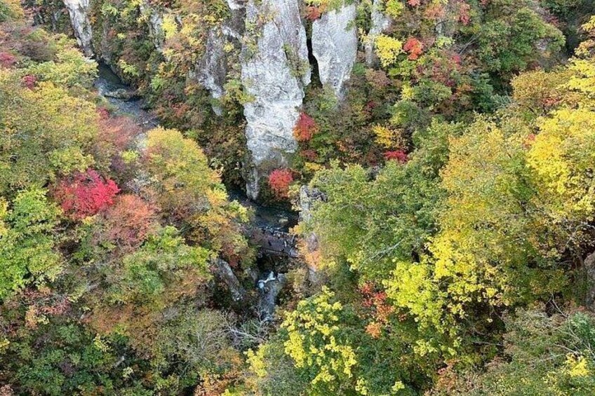 A forested valley with a river, rocky cliffs, and autumn foliage. 4