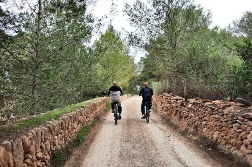 Discover the Charm of St. Gertrudis by E Bike 5