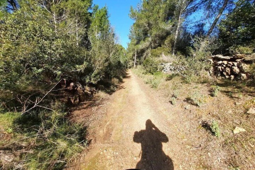 Discover the Charm of St. Gertrudis by E Bike 1