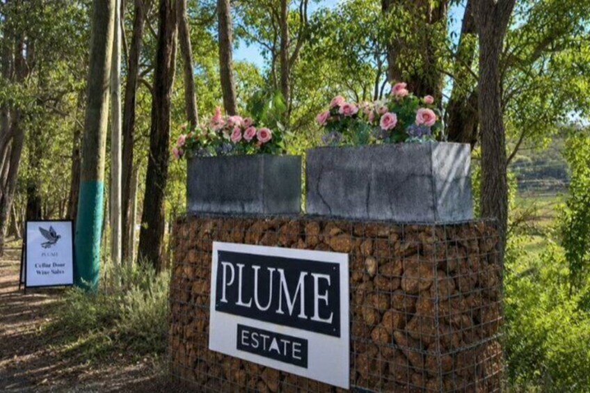 Swan Valley Winery Chauffeur and Transportation 4