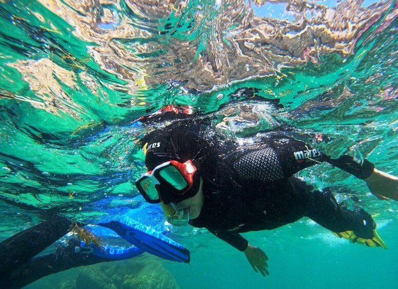 Iemand snorkelt onderwater, met vinnetjes en een snorkel. 4