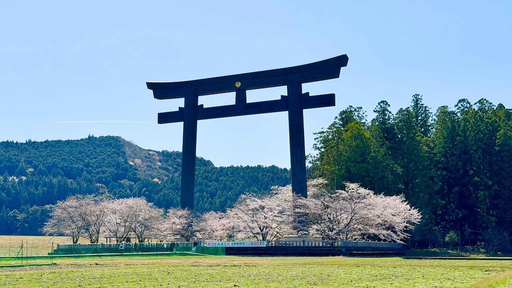 Picture 8 for Activity UNESCO Kumano Kodo: Complete 3 Grand Shrines & Nachi Hike 5