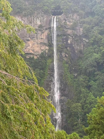 Picture 3 for Activity UNESCO Kumano Kodo: Complete 3 Grand Shrines & Nachi Hike 3