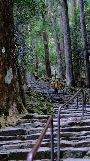 Picture 12 for Activity UNESCO Kumano Kodo: Complete 3 Grand Shrines & Nachi Hike 3