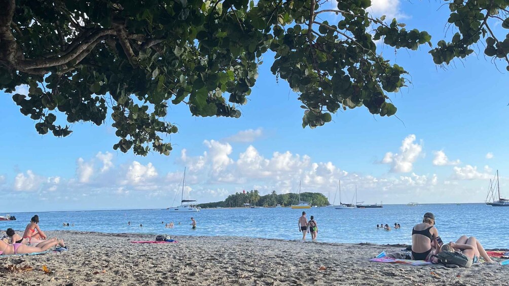 Picture 5 for Activity Sainte-Anne: Walk, swim in the cave, and kayak to the Gosier Islet 3