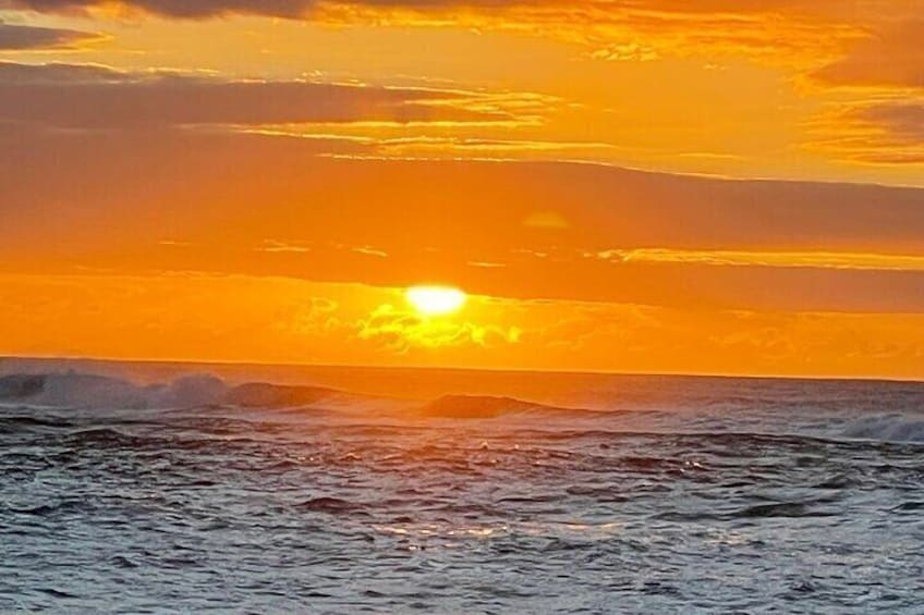 Oahu North Shore and East Shore Sightseeing Tour 1