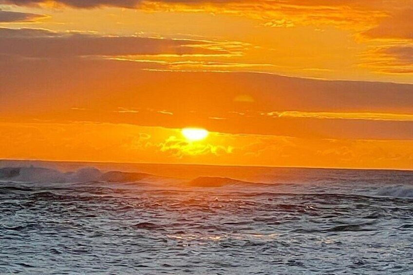 Oahu North Shore and East Shore Sightseeing Tour 1
