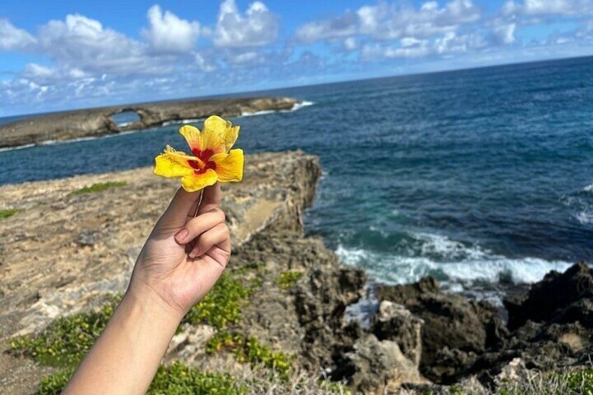 Oahu North Shore and East Shore Sightseeing Tour 2