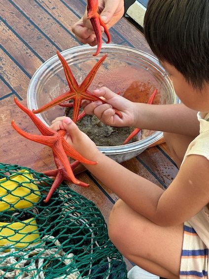 A child playing with starfish and a yellow ball on a wooden floor. 5