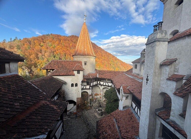 Picture 17 for Activity From Brasov : Bran Castle, Peles, Sinaia & Cantacuzino 4