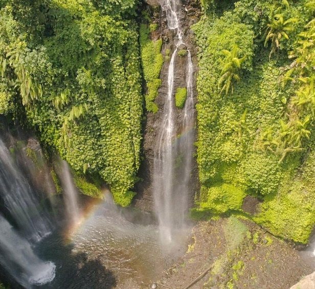 Picture 3 for Activity Bali: Trekking Sekumpul Waterfall & Jungle Waterslide 5