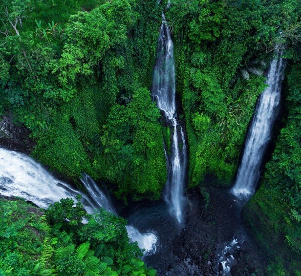 Picture 6 for Activity Bali: Trekking Sekumpul Waterfall & Jungle Waterslide 5