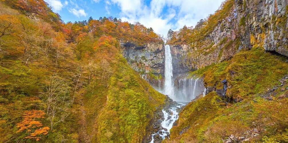 Picture 3 for Activity Tokyo: Nikko Private Day Tour Toshogu Shrine & Kegon Falls 5