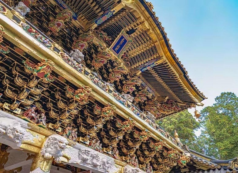 Picture 1 for Activity Tokyo: Nikko Private Day Tour Toshogu Shrine & Kegon Falls 2