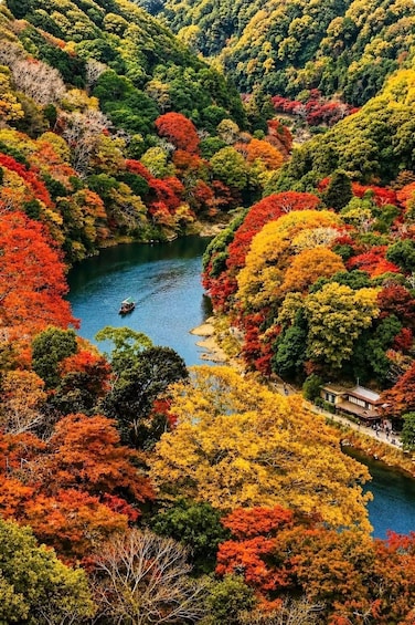 Picture 2 for Activity Tokyo: Nikko Private Day Tour Toshogu Shrine & Kegon Falls 4