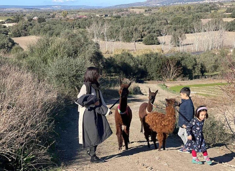 Turri: Guided Animal Park Tour with Alpaca Walk & Tasting 1