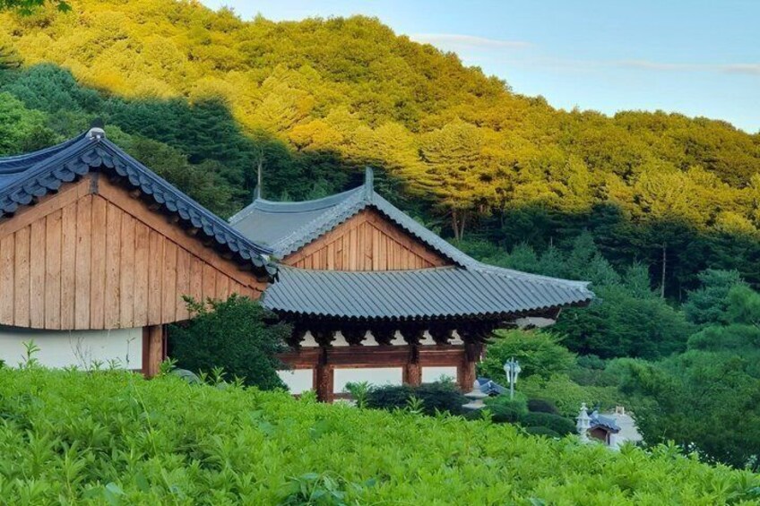 Nami Island Bus Tour Experience 4