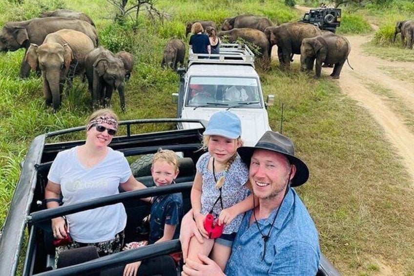 A family in a safari vehicle with elephants in the background. 1