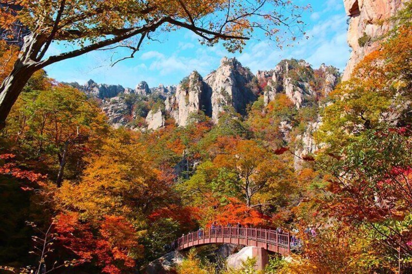 Seoraksan National Park Naksansa Temple Culture Tour from Seoul 5