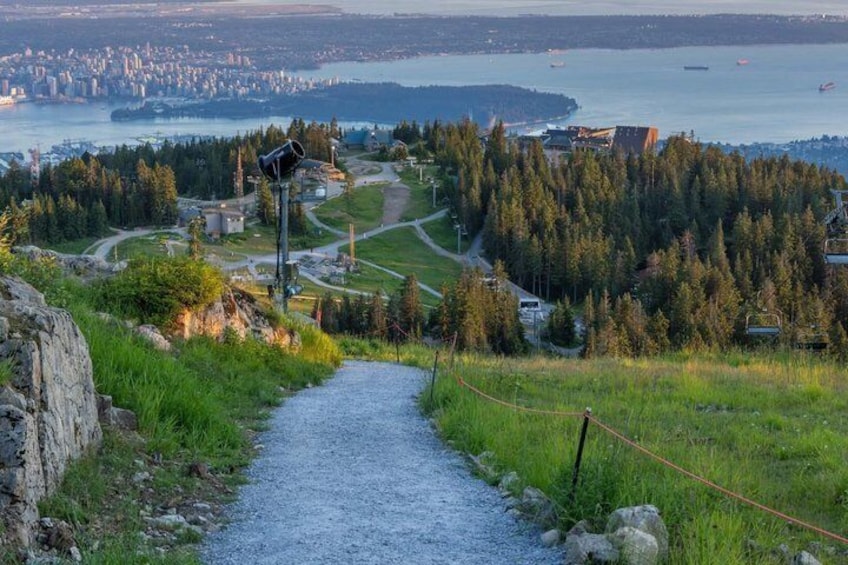 A gravel path leading to a telescope, overlooking a forested area with a cityscape and water in the distance. 5