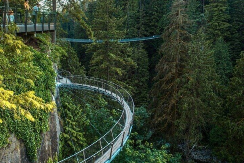 Capilano Suspension Bridge and Grouse Mountain 3