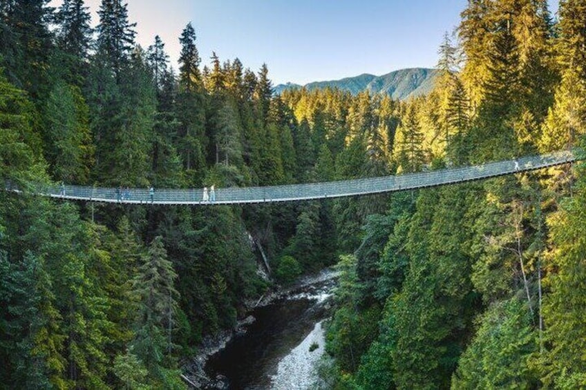 Capilano Suspension Bridge and Grouse Mountain 2