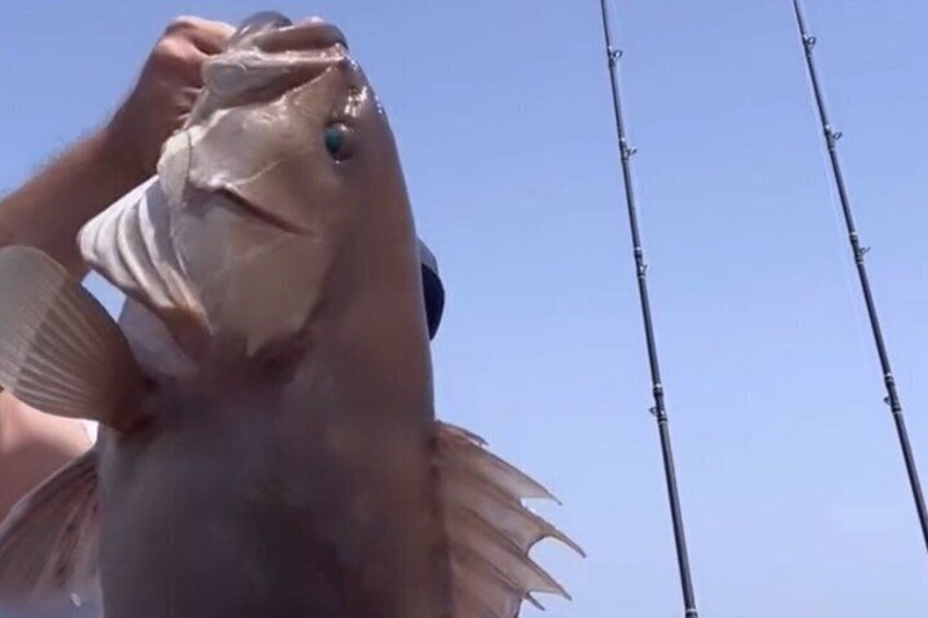 Mykonos Private Fishing Experience 5