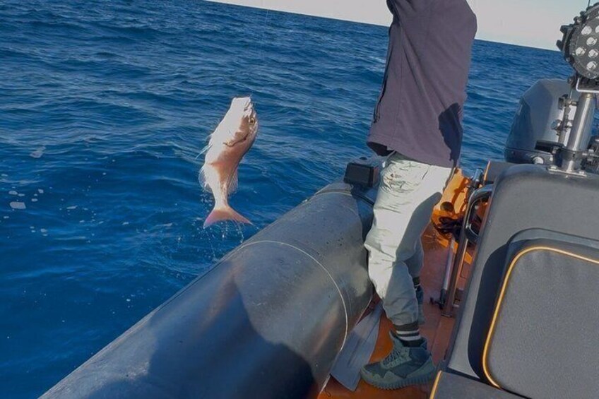 Mykonos Private Fishing Experience 3