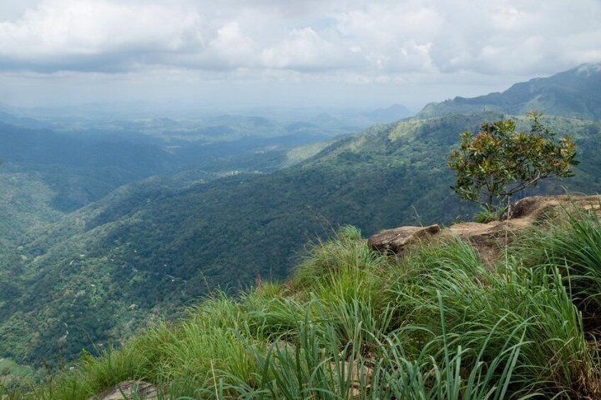 6 Night 7 Day Honeymoon Tour in Sri Lanka 3