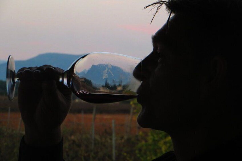 Private Bodega Tour XL Mallorca Wine Tasting in 3 Wineries 3