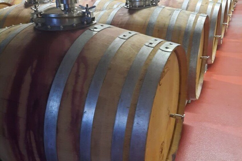 Private Bodega Tour XL Mallorca Wine Tasting in 3 Wineries 2