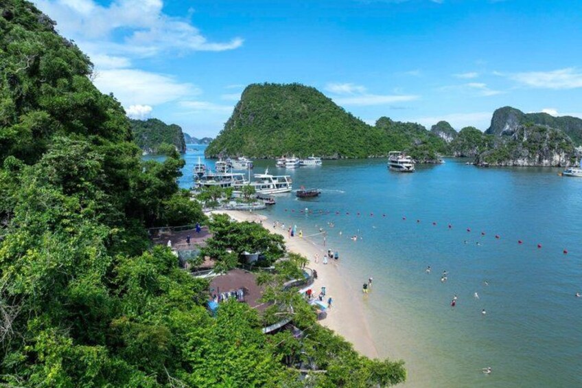 A coastal area with boats, a beach, and lush greenery. 3