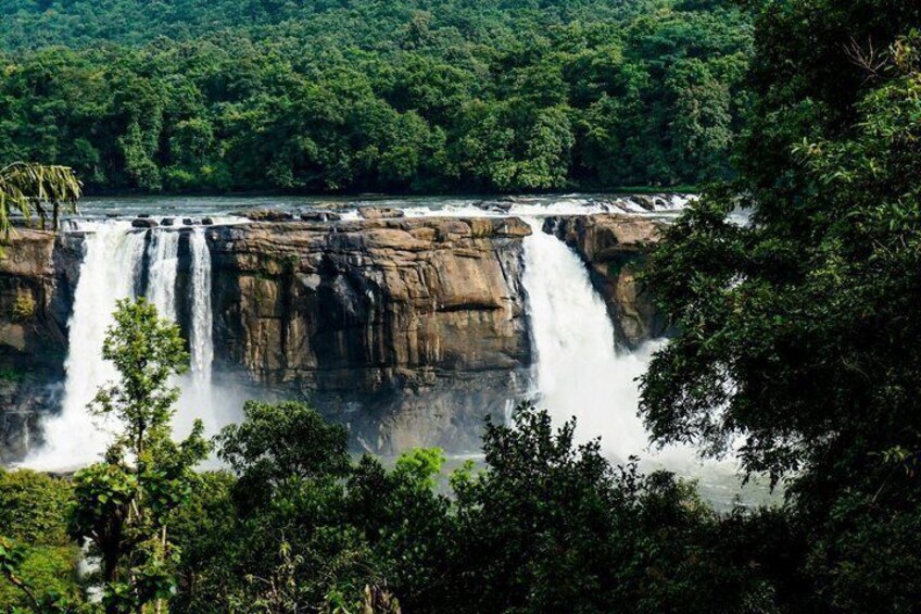 Kerala 6 Days Private Tour Munnar Thekkady Alleppey 3