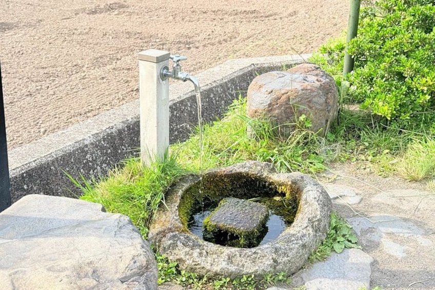 A stone well with water, surrounded by rocks and greenery. 3