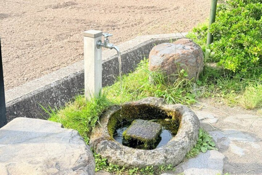 A stone water feature with a faucet, surrounded by rocks and greenery. 3