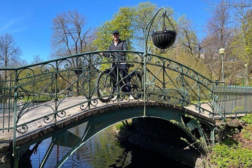 Bergen E Bike Tour Explore Cobblestone Streets and Local Culture 5