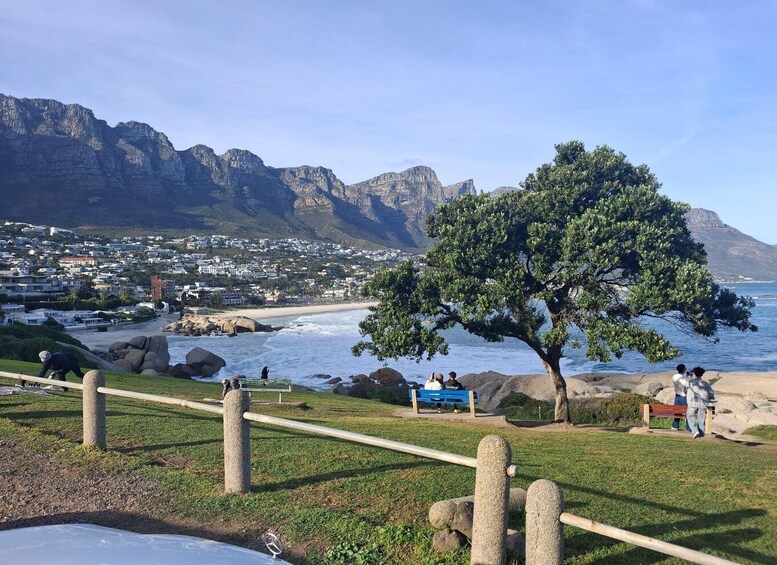 A coastal landscape with a tree, rocky outcrops, and a distant town. 3