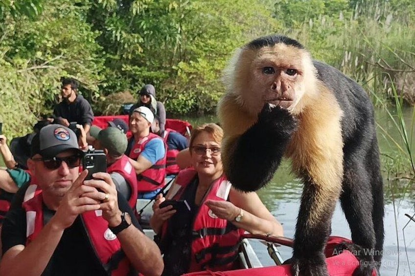 A river with people on a boat, a monkey on the boat, and greenery in the background. 1