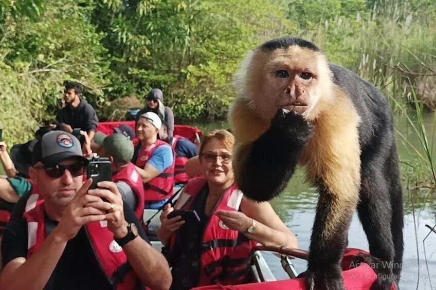 Panama Canal Animal Safari + Fruit Market 1