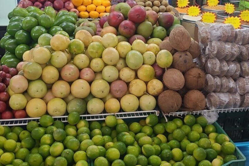 Panama Canal Animal Safari + Fruit Market 5
