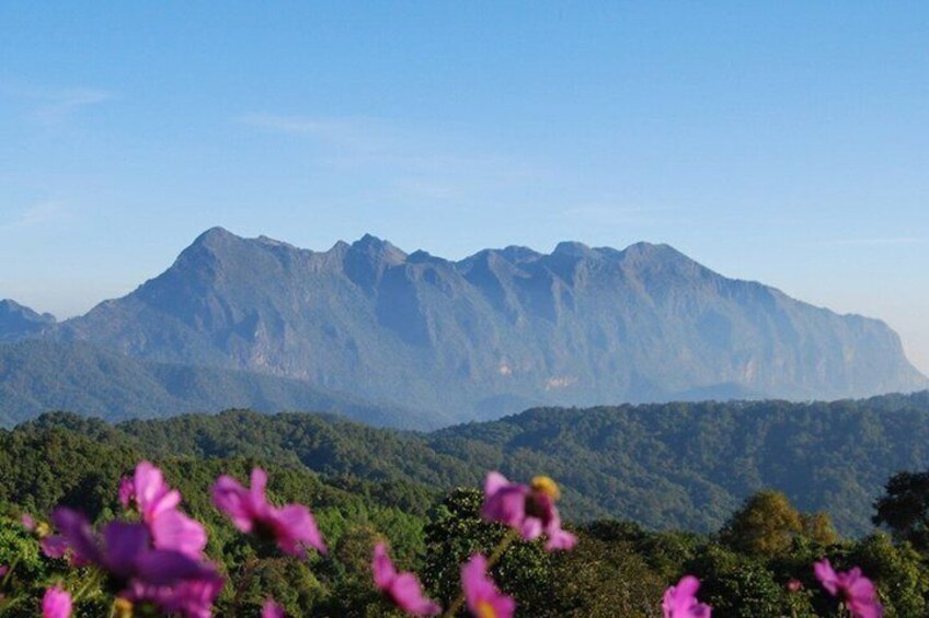 Chiang Rai Trekking 2 Days 1 Night 1
