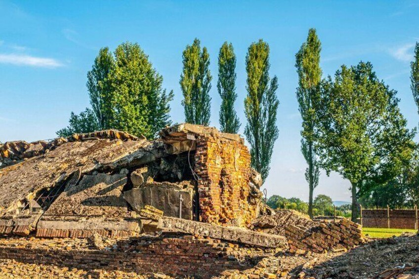 Oswiecim Auschwitz-Birkenau Museum with Audio Guide 5