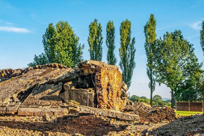Oswiecim Auschwitz-Birkenau Museum with Audio Guide No Ticket 4