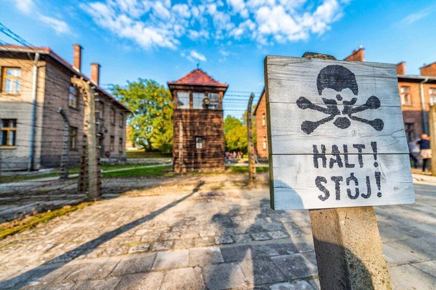 Oswiecim Auschwitz-Birkenau Museum with Audio Guide No Ticket 1